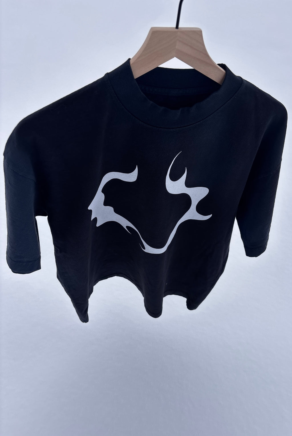 The 0.6 {Print Error}